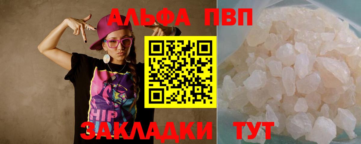 Alfa_PVP СК Дубна