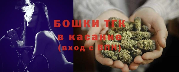 молекула духа Алексеевка