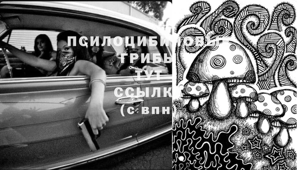 тгк Алзамай