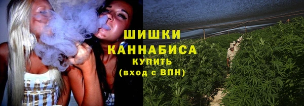 Альфа ПВП Семёнов