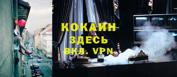молекула духа Алексеевка