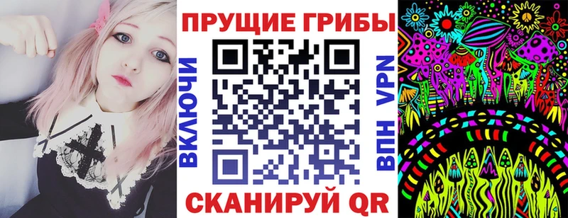 продажа наркотиков  Дубна  Галлюциногенные грибы GOLDEN TEACHER 
