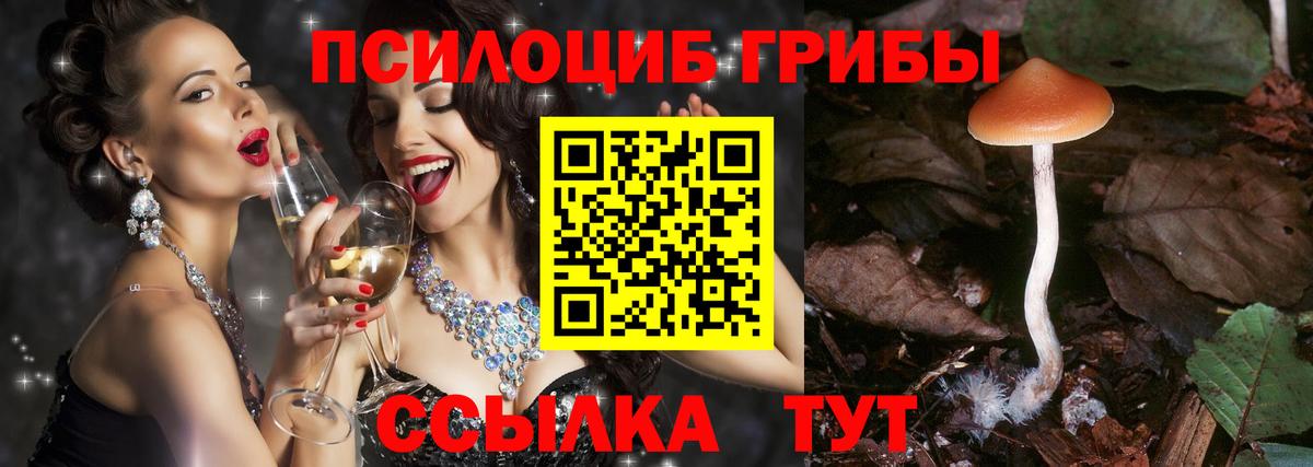 Псилоцибиновые грибы GOLDEN TEACHER  Вход с VPN  Дубна 