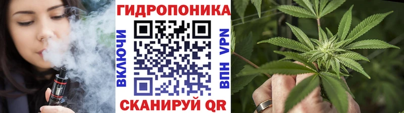 Бошки Шишки сатива как найти наркотики Дубна